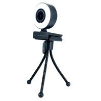 CAMARA WEB BALAM RUSH STELAR CW750 / USB / CON LUZ LED / MICROFONO INTEGRADO / NEGRO / BR-932974